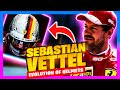 Sebastian Vettel - F1 Helmets Design Evolution