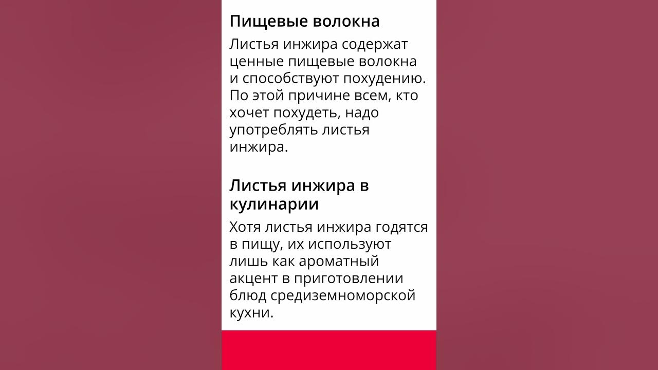 ИНЖИР - ПОЛЕЗНЫЕ СВОЙСТВА ЛИСТЬЕВ ИНЖИРА ЗАБЫТЫЕ НАТУРАЛЬНЫЕ ЛЕКАРСТВА ...