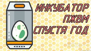 Инкубатор для восковой моли. Сколько ПЖВМ я собрал за год? Делюсь своими наблюдениями