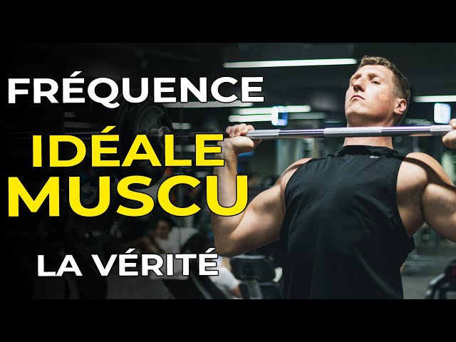 COMBIEN DE SÉANCE PAR SEMAINE EN MUSCULATION ? LA VÉRITÉ