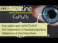 Как работает НИКОТИН? Эксперимент и передозировка. Эффекты и последствия