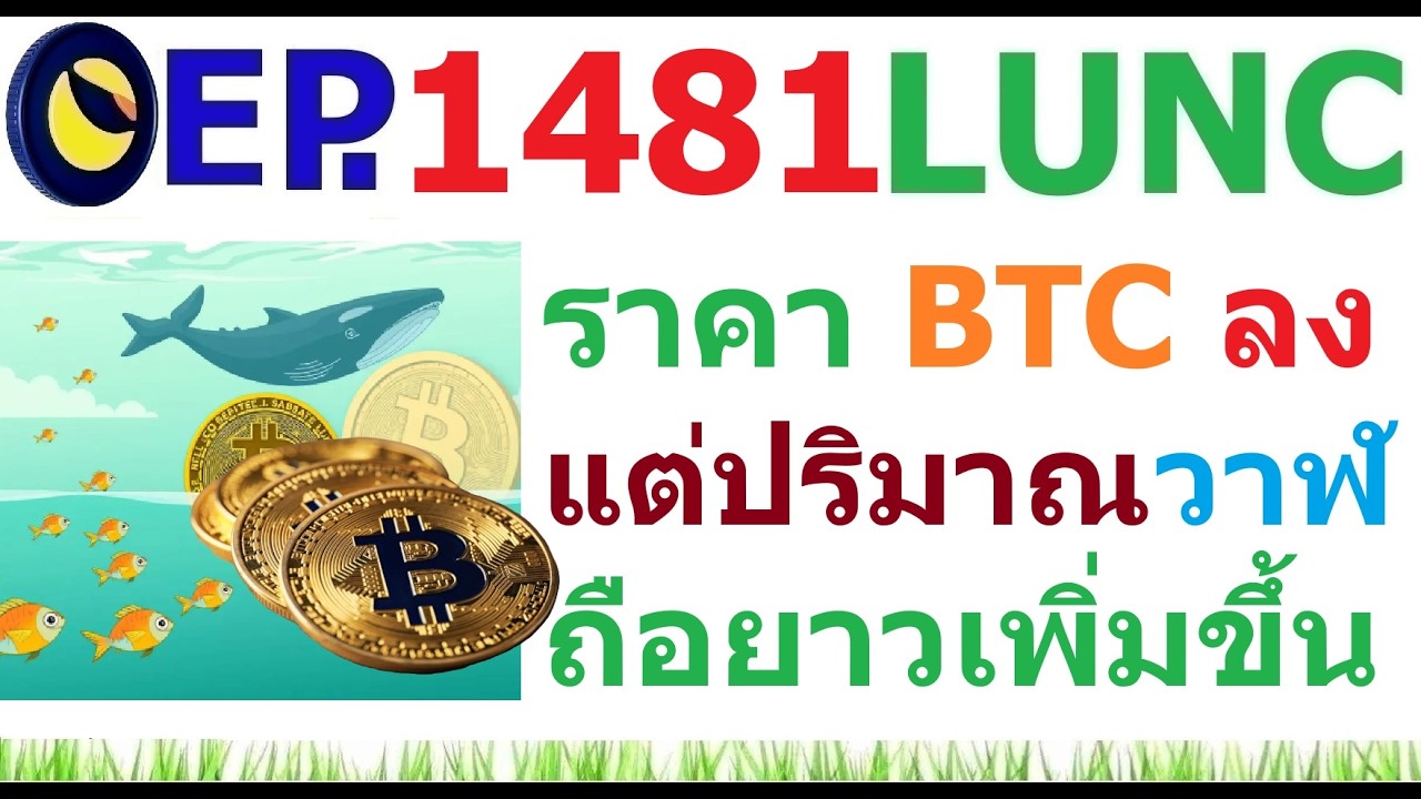 [EP.1481] ราคา Bitcoin ลง แต่ปริมาณการถือยาวเพิ่มขึ้นมากถึง 79%