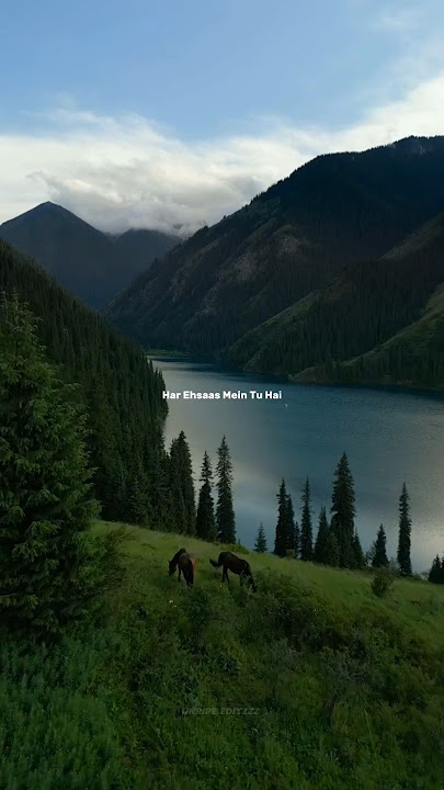 Teri Meri - Reprise ❤️✨ | Aesthetic Lyrics Video #shorts #lyricsstatus #sad #trending #viral #lyrics