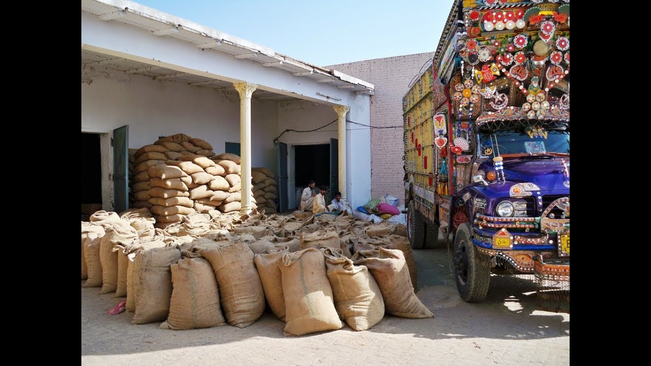 Major Imports and Exports of Pakistan YouTube