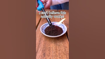 smoke and smell of burning dry coffee grounds repels mosquitos #hacks #tips #diy #home #bug