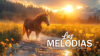 Melody That Bring You Back To Your Youth - TOP 30 ROMANTIC GUITAR MUSIC by Timeless Music 2,544 views 1 month ago 3 hours, 32 minutes