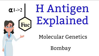 H antigen | Bombay