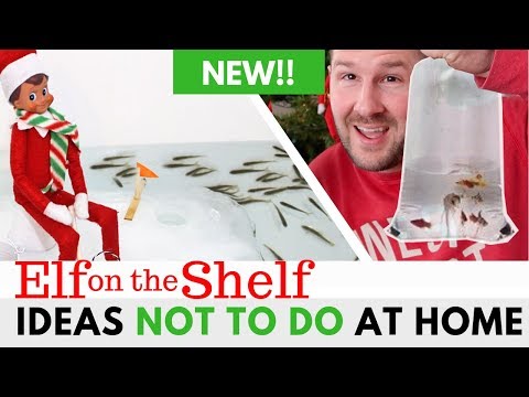 elf-on-the-shelf-ideas-not-to-do-at-home!!-(new-elf-on-the-shelf-ideas-for-2018!)