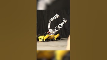 New experiment with robotic arms | New Technology | Pro Robots