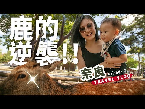 【日本自由行ep3】錯誤餵食慘遭鹿群起攻擊!! 奈良Day2-Part 1【E家愛吃愛旅遊】