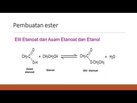 Video: Apakah ester yang bertanggungjawab terhadap rasa dan bau pisang?