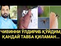 ЧИВИННИ ЎЛДИРИБ ҚЎЙДИМ ЭНДИ ҚАНДАЙ ТАВБА ҚИЛАМАН?..... АБРОР МУХТОР АЛИЙ