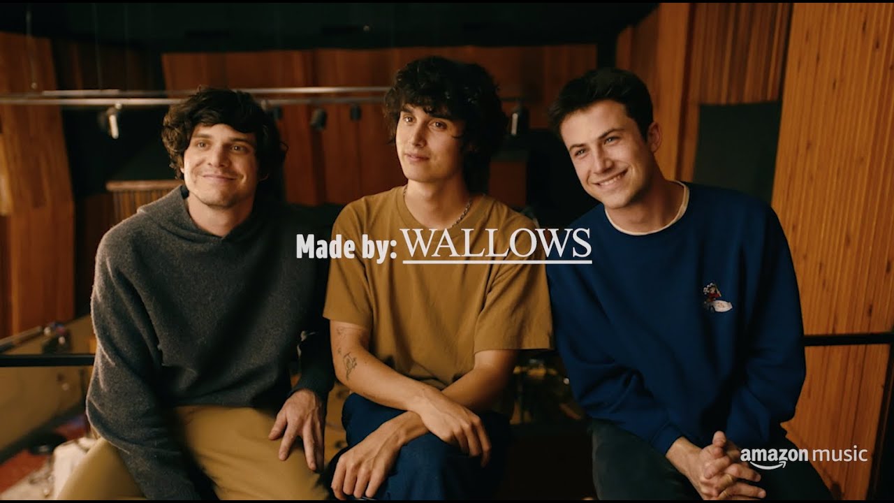 Wallows Tour 2023  2024 Setlists Videos Links