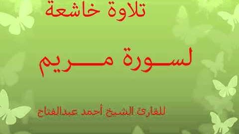 تلاوة خاشعة لسورة مريم بصوت القارئ الشيخ أحمد عبدالفتاح حفظه الله