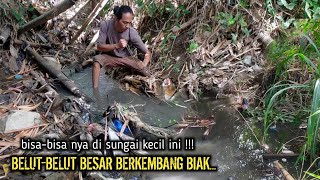 Download Lagu BISA-BISA NYA‼️SUNGAI KECIL INI BELUT BESAR-BESAR BERKEMBANG BIAK MP3 Download Lagu BISA-BISA NYA‼️SUNGAI KECIL INI BELUT BESAR-BESAR BERKEMBANG BIAK MP3