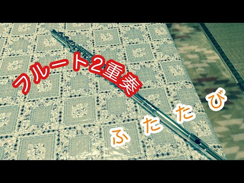 【フルート2重奏】フルート2重奏vlogふたたび