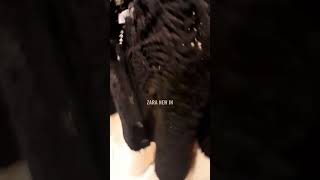 ZARA NEW IN STORE | LATEST WINTER COLLECTION 2022 #zara #shorts #shortvideo #fashion #latest #newin