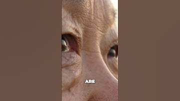 Unveiling the Hidden Struggles of Aging Drivers | Vision and Hearing Impacts