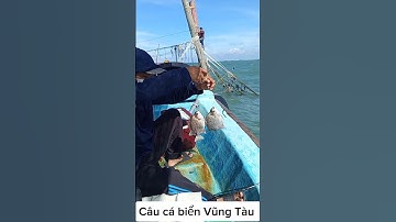 Câu cá vặt ở dàn đáy biển Vũng Tàu. Dính đủ loại cá bao phê #caucabien #sea fishing