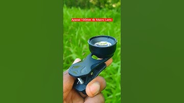 Macro Photography with Apexel 100mm 4k Macro Lens #shorts #nature #macrophotography #macrolens