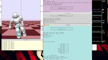 Simulation video of Nao Project -CSCI545 Group4