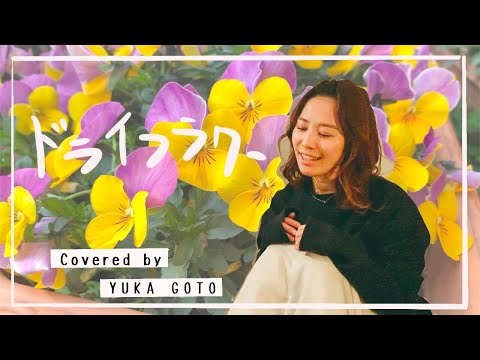 【舞台女優が歌う】ドライフラワー／優里
