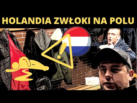 PRACA W HOLANDII / ZWŁOKI MŁODYCH POLAKÓW NA POLU..