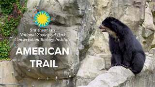 Smithsonians National Zoos American Trail Exhibit