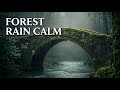 🔥 INSTANT RELAX‼️ Peaceful Forest River 🌿 Relax Deeply | Calming Soundscape