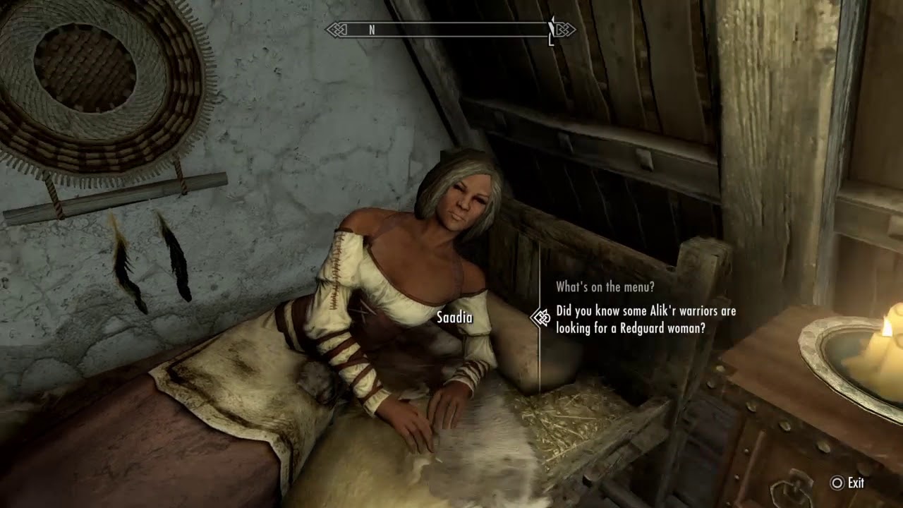 Elder Scrolls 5 Skyrim Sex