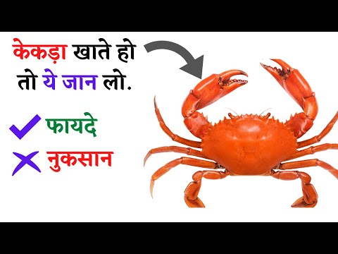 वीडियो: क्या केकड़ा खोल खाना आपके लिए हानिकारक है?