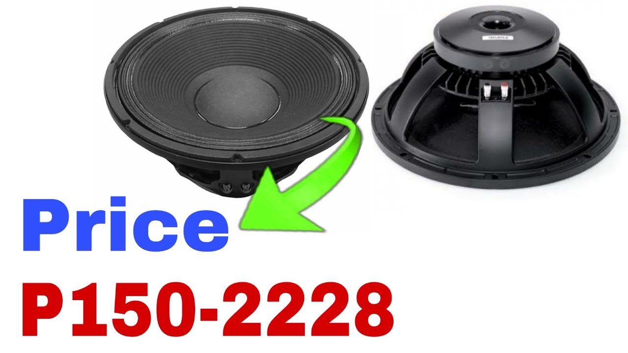 p audio 1000w speaker price