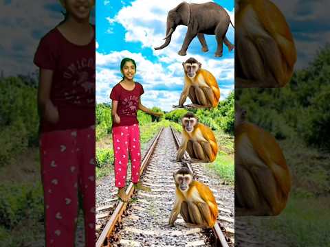monkey to hathi & ghoda sher bagh funny vfx magic video #short #youtubeshorts #vfx #vfxshort