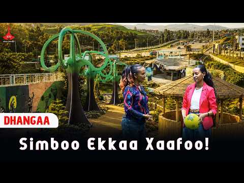 Simboo Ekkaa Xaafoo! etv |Ebc |Etv Afaan Oromoo|