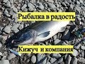 Рыбалка в радость. Кижуч и компания