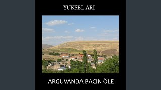 Bizin Evde Bir Yar Sevdim