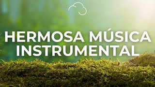 ‍♂Instrumental Cristiana  / Para Levantar el Ánimo / Worship Instrumental Music