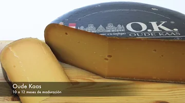 ¿Contiene caseína el queso Gouda?