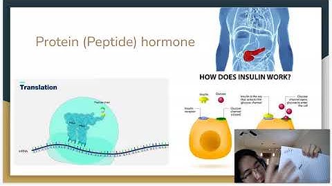 Module 4 Application Activity: The Movement of Macromolecules Flowchart (Video Assignment)