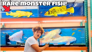 I Found RARE MONSTER FISH For My AQUARIUM!