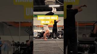 Learn The Handstand Tuck Walk Calisthenics Tutorial