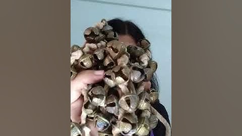 PNP English Grade 4 Block 4 Ghungroos, Dancing and Fun by Teacher Shikha