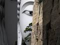 有緣人,無論是天意還是無意,留下一句「心想事成,時來運轉」,願你所求皆如願!#peace #universe #love #religion #buddha