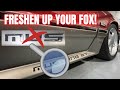 The Correct Way to Replace your Mustang Decals /// Step by Step How To