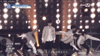 [日本語訳] NEVER / 국민의 아들 (from PRODUCE101)