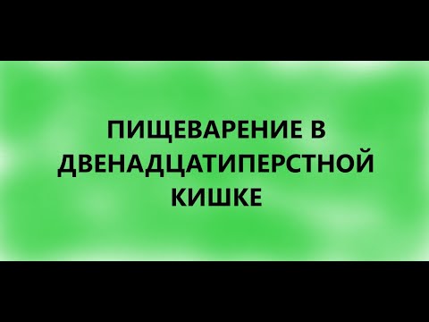 Пищеварение в двенадцатиперстной кишке