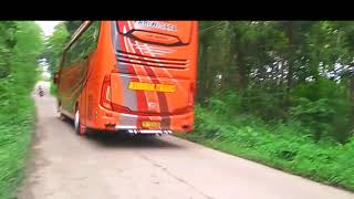 Cinematic bus Kurnia trans