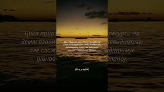 @f-a_c-ts606