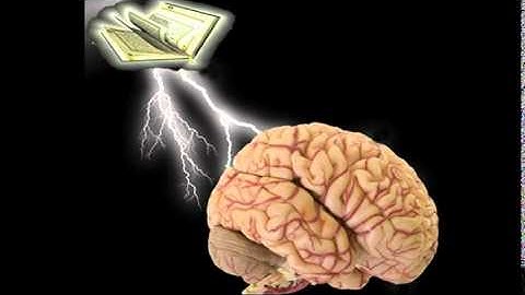 محمد البراك - سورة التكوير