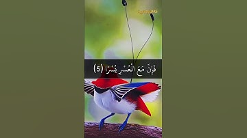 تلاوة خاشعة لقول الله تعالى ﴿فَإِنَّ مَعَ الْعُسْرِ يُسْرًا﴾ تريح القلب وتبعث الطمأنينة | سورة الشرح
